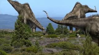 Dinosaur Discoveries Diplodocus [upl. by Nanis278]