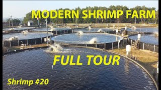 SUPERINTENSIVE MODERN SHRIMP FARM  FULL TOUR 20  FISH [upl. by Tolkan]