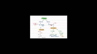 Exam Pattern for B pharmacy check full video in description ✅ examinfo bpharmacy biology [upl. by Tifanie]