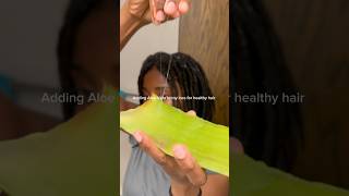 Adding Aloe Vera for healthy locs 🌱 aloevera aloeveragel healthylocs healthyhair [upl. by Billat743]