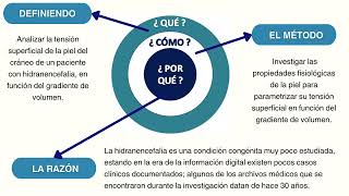Análisis de Tensión Superficial  Hidranencefalia [upl. by Aek]