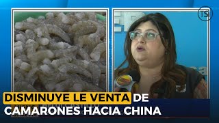 Lamentan que solo un contenedor de camarones pudo venderse en China [upl. by Milena]