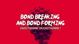 GCSE Chemistry 19 What makes a reaction Endothermic or Exothermic Overall [upl. by Chuu]