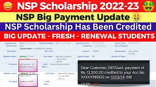 NSP Scholarship 202223 Big Payment Update  NSP Scholarship Has Been Credited  Watch Now [upl. by Sayce]