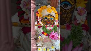 begin your day with the divine blessing of lord Giriraj ji spritual iskcon vrindavandivine [upl. by Alicsirp]