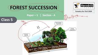 7 IFoS2020  Silviculture  Forest succession [upl. by Nahoj]