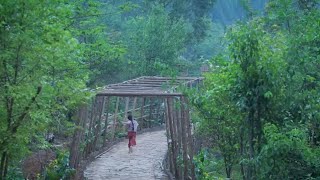 Liziqis collection Picking fruits and vegetables [upl. by Nore]