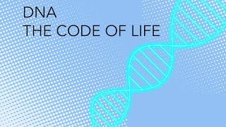 Grade12 Biology Revision for biomolecule DNA The Code of life [upl. by Fital]