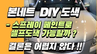 본네트 DIY 도색스프레이 페인트 만으로 본네트 도색 가능할까Bonnet DIY Painting [upl. by Ykcul155]