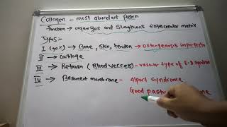 Collagen Types and Collagen Synthesis  USMLE step 1  Lecture 8 [upl. by Htaek]