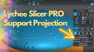 Lychee Slicer Pro Using the Support Projection for bases [upl. by Enyal]