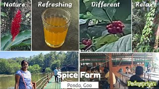 Spice Farm Tour Ponda South Goa spicefarm goatourism goatouristplaces [upl. by Mchugh147]