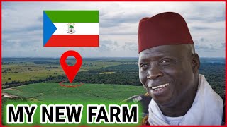 Gambia Kachaa The UNTOLD TRUTH About Jammeh’s New Life In Equatorial Guinea [upl. by Leumas932]