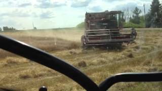 Massey 850 combine central wisconsin marathon county colby [upl. by Reppep]