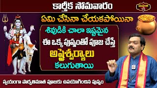 Machi Raju  కార్తీక సోమవారం ఏమి చేసినా చేయకపోయినా శివుడికి చాలా ఇష్టమైన ఈ ఒక్క పుష్పంతో పూజ చేస్తే [upl. by Gabriell399]