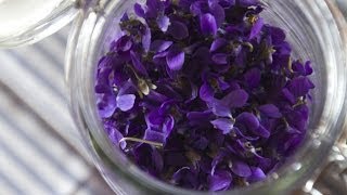 Making Perfume from Violets Enfleurage  Fresh P [upl. by Azalea661]