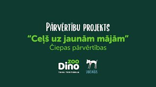 Čiepas pārvērtības Dino Zoo frizētavā ✂ [upl. by Vanthe]