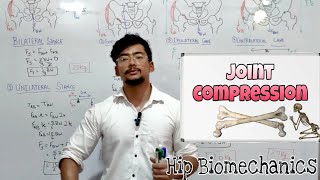 Joint Compression  HIP BIOMECHANICS  PART1 [upl. by Aicelet]