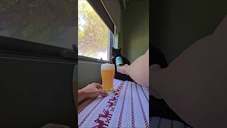 Garage Project Sunrise Valley Hazy IPA ABV 80 cat beer beerreviews [upl. by Ehc]