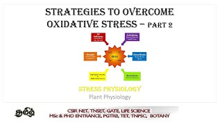 Strategies to overcome Oxidative stress in plants part 2 Tamil CSIR NET TNSET GATE  PGTRB [upl. by Harriette]