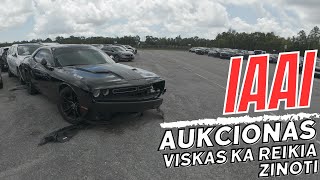 IAAI Aukcionas JAV Viskas ka reikia zinoti perkant auto is JAV [upl. by Qifar786]