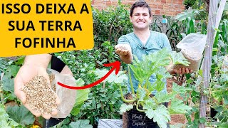 VERMICULITA na HORTA como USAR nas PLANTAS da forma CERTA melhorando o SUBSTRATO de CULTIVO [upl. by Tarra]