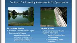 Widespread Prevalence of Cyanobacteria amp Cyanotoxins from a Variety of California Waterbodies [upl. by Jardena]