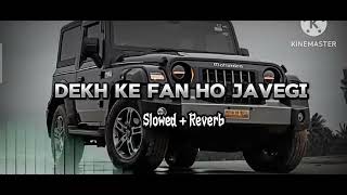 DEKH KE FAN HO JAVEGI SIOWED REVERD SONG viralvideo viralsong [upl. by Oel]