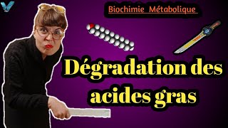 Biochimie métabolique en arabe Dégradation des Acides Gras Partie des Lipides SVI S4 [upl. by Wauters]