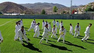 Examen de grado Taekwondo Chañaral Alto2 [upl. by Erodasi139]