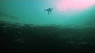 Guillaume Nery base jumping at Deans Blue Hole Bahamas 1080p [upl. by Oneill]