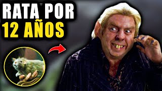 ¿Cómo Se Mantuvo COLAGUSANO Como RATA Tanto Tiempo  Teoría de Harry Potter [upl. by Vedis]