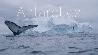 ANTARCTICA  The Frozen Continent  4k DRONE Video [upl. by Nawj]