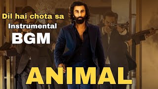 Dil hai chota sa choti se asha bgm song ANIMAL MOVIEinstrumental songranbir kapoor entry song [upl. by Loutitia]