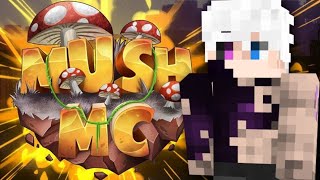 LIVE ESPECIAL 4 ANOS DE MUSHMC  CLANXCLAN AO VIVO [upl. by Ayidan419]