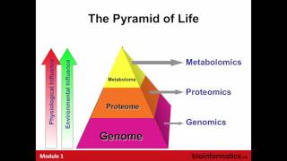 Introduction to Metabolomics [upl. by Nrek566]