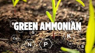 Green Ammonia Revolutionizing Fertilizer Production  InnoVision Tech [upl. by Calida]