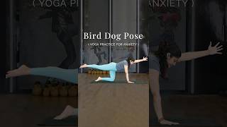 Bird Dog Pose  Yoga Practice For Anxiety  Yoga For Stress Relief  Relaxing Yoga shorts [upl. by Edia130]