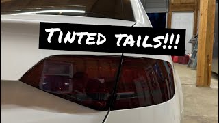 Tinting the Tail Lights on my B8 Audi A4 [upl. by Selina]