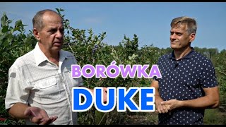 Wszystko co musisz wiedzieć o borówce odmiany DUKE  dr inżTomasz Krupa i Ryszard Nowakowski [upl. by Mathilde83]