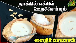 பத்தே நிமிஷத்துல இளநீர் பாயாசம் செய்யலாம் Elaneer Payasam recipe in Tamil  Cook Graamam [upl. by Landon]