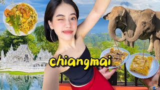 exploring northern thailand 🇹🇭  chiang mai amp chiang rai  bomb street food elephants temples [upl. by Ralat856]