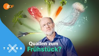 Mordshunger – Wie schmeckt das Essen der Zukunft – Leschs Kosmos Ganze TVFolge  Harald Lesch [upl. by Giles]