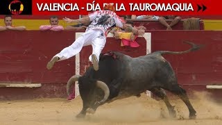 VALENCIA  LEYENDAS Y RECORTADORES CON TOROS DE DIFERENTES GANADERÍAS [upl. by Verada]