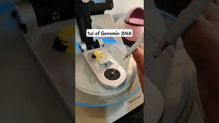 Genomic DNA Quantification using Thermo Scientific NanoDrop one  Live Demonstration  dna [upl. by Esilehc]