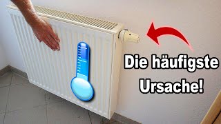 Heizung wird nicht warm  So behebst du die häufigste Ursache schnell selbst [upl. by Erot467]