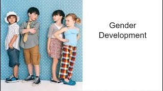 AP Psychology  Unit 6 Development Part 5 Gender Development [upl. by Mccreery]