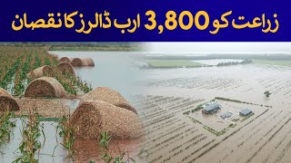 3800 Billion loss to Agriculture  Rich Pakistan [upl. by Ames239]