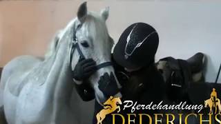 For Sale  Master  Pferdehandlung Dederichs [upl. by Seabrooke378]