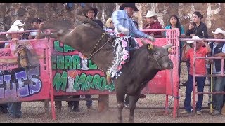 ¡¡¡ESTO SI ES JARIPEO Puacuaro Michoacan 21 De Noviembre 2017 [upl. by Gaillard321]